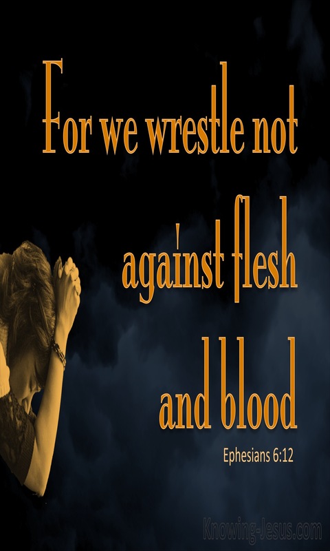 Ephesians 6:12 We Wrestle Not Against Flesh And Blood (orange)